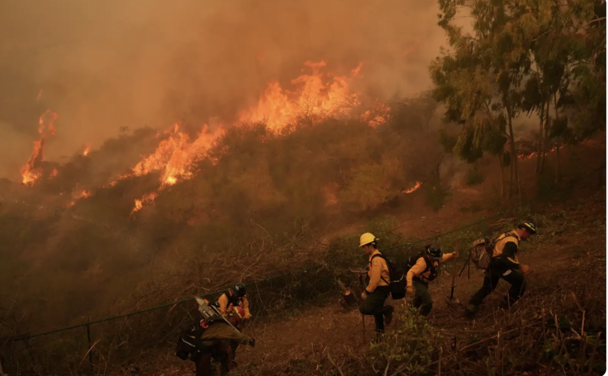 Firefighters trying to stop a fire that threaten communities in San Fernando Valley. The Kenneth Fire, which threatened this area, was contained on January 13th.